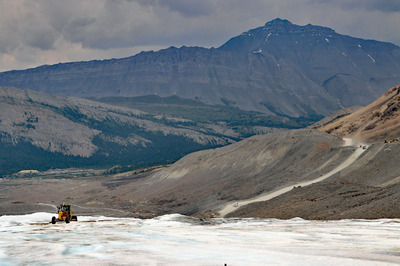 Columbia Ice Fields
