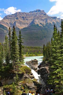Athabasca Falls
