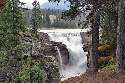 Athabasca Falls
