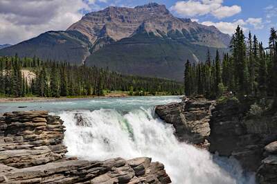 Athabasca Falls
