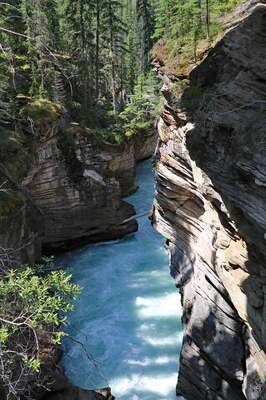 Athabasca Falls
