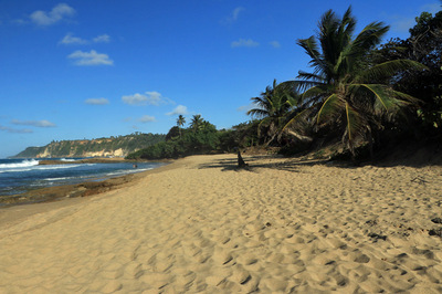 PR2023BorinquenPlaya.jpg