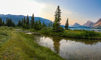 Bow Lake panorama
