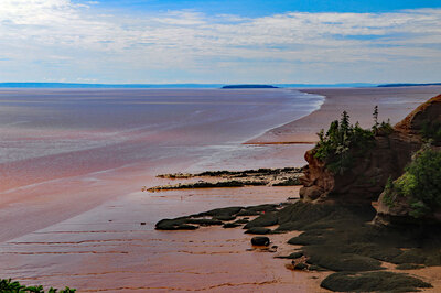 Fundy07.jpg